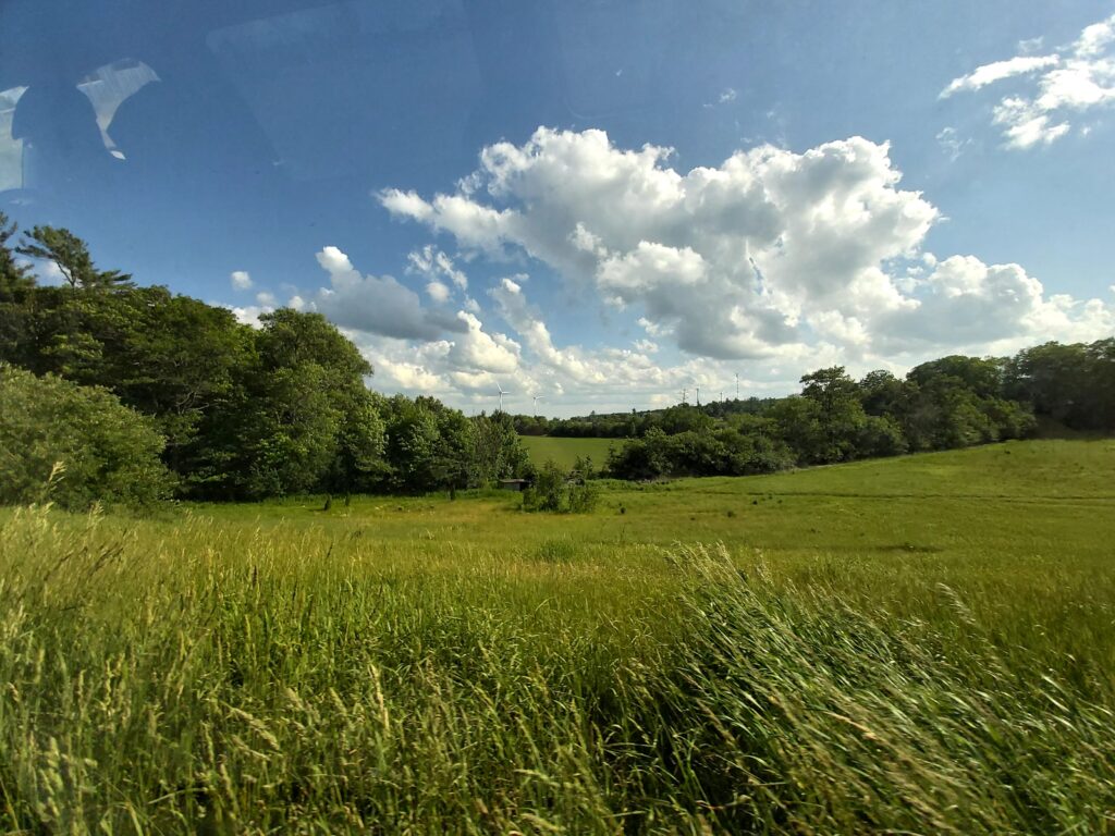 paysage vert d'un champs entouré de verdure et de forêt avec un ciel bleu et quelques nuages