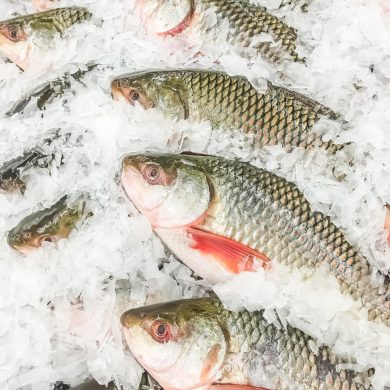 Several whole fish with greenish scales laid on a bed of crushed ice, likely ready for sale or display.
